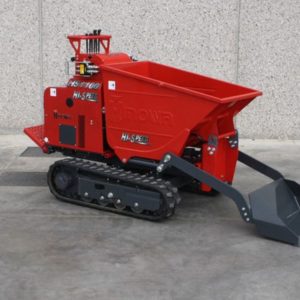 Motocarriole