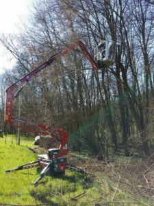 noleggio-piattaforme-carrate-aeree-belluno-1-13