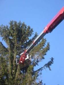 noleggio-piattaforme-carrate-aeree-belluno-34