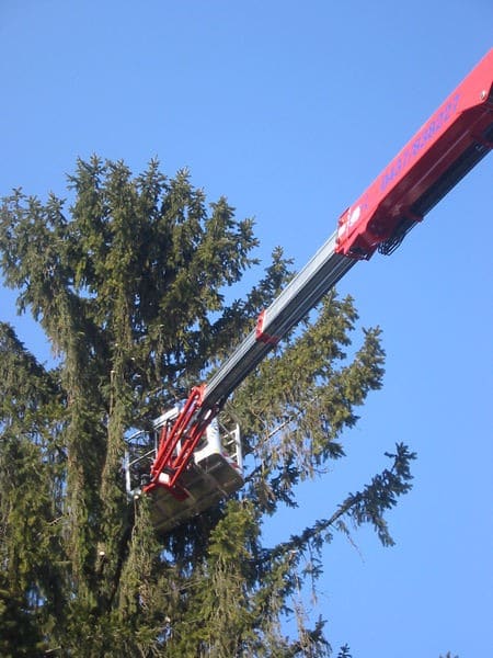 noleggio-piattaforme-carrate-aeree-belluno-34